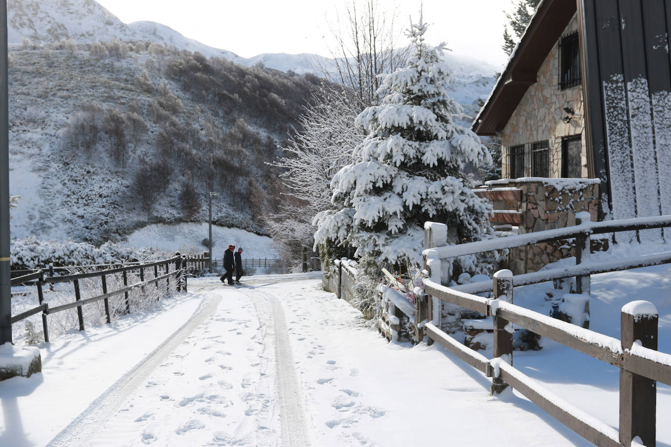 Fotos: Las primeras nieves en Asturias