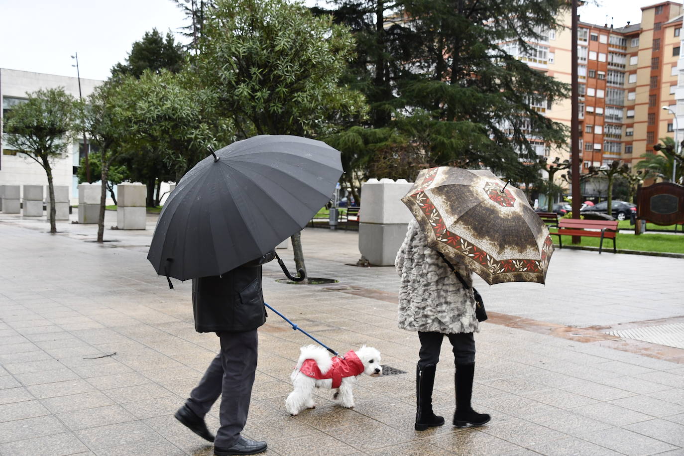 Fotos: Las consecuencias del temporal en Avilés: calles inundadas y árboles caídos