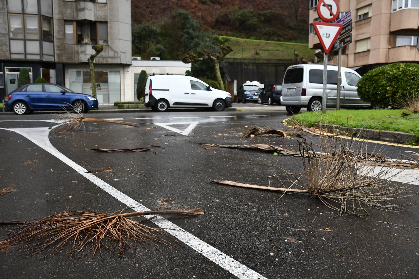 Fotos: Las consecuencias del temporal en Avilés: calles inundadas y árboles caídos