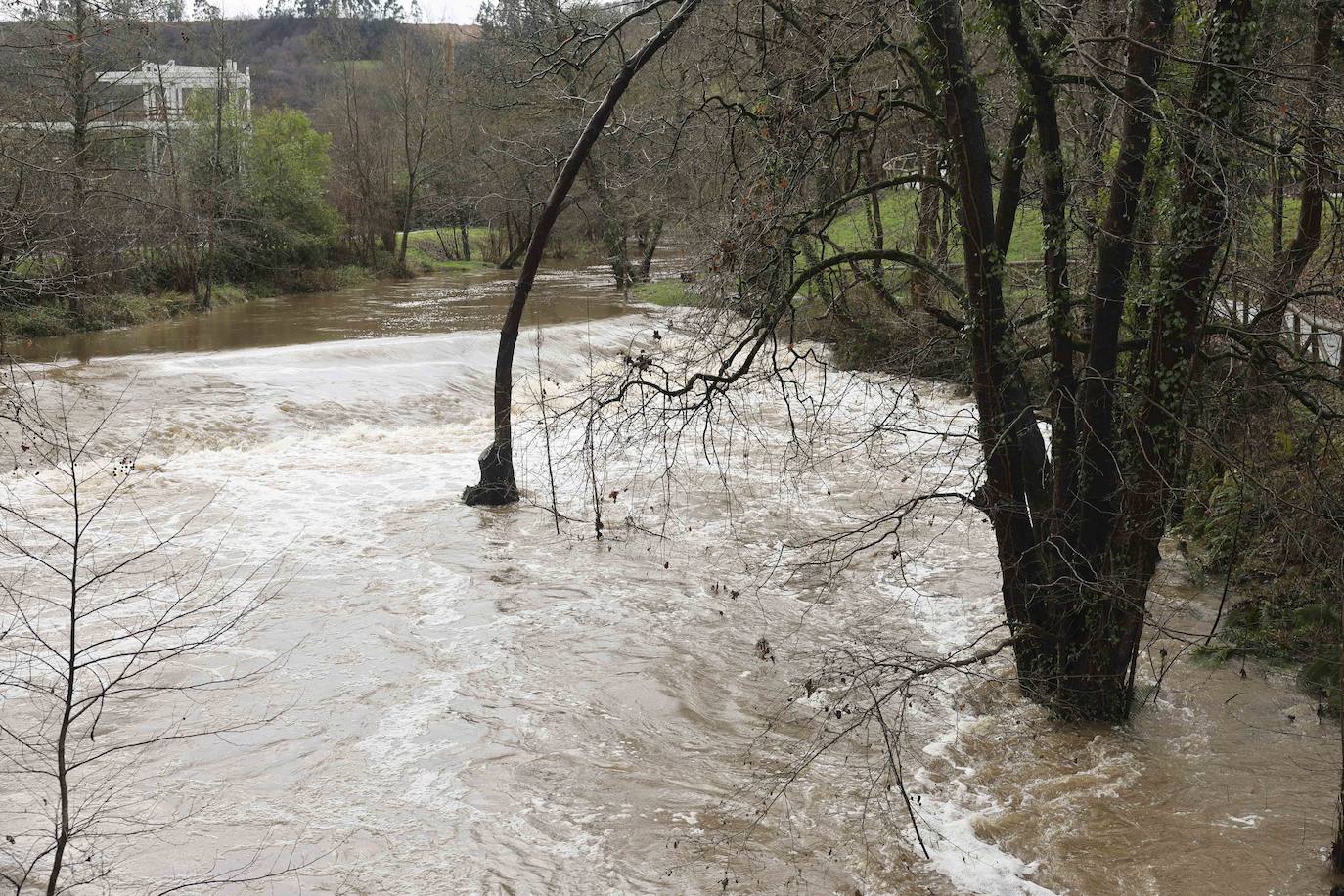 Fotos: Siero bajo el agua de Gerárd