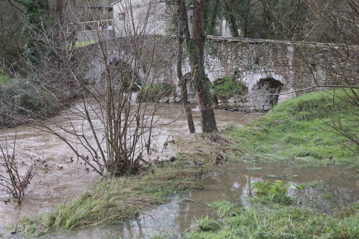 Fotos: Siero bajo el agua de Gerárd