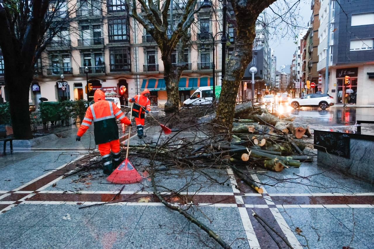 Fotos: Inundaciones y árboles caídos por el temporal en Gijón