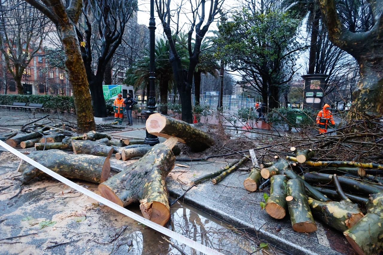 Fotos: Inundaciones y árboles caídos por el temporal en Gijón