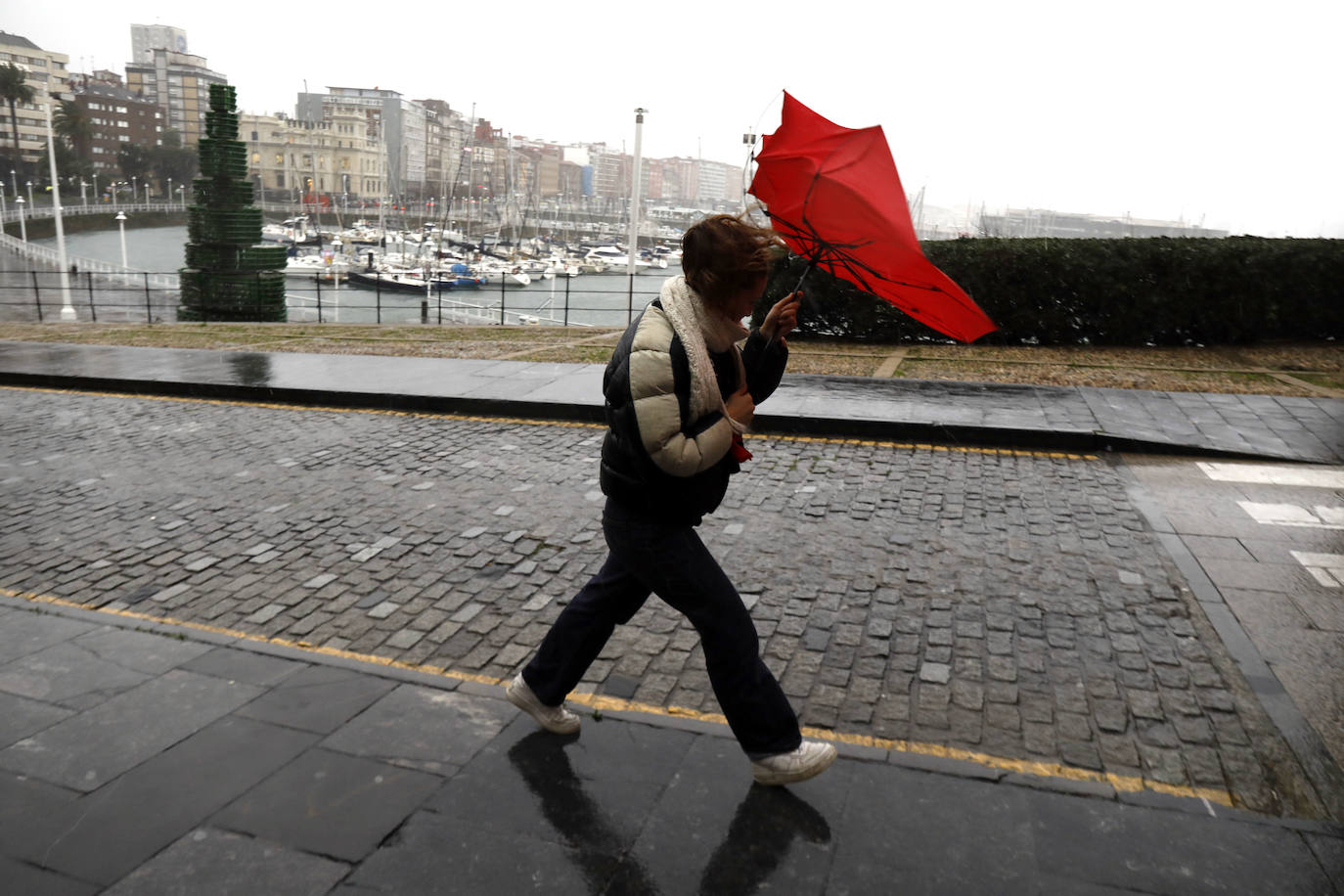 Fotos: Inundaciones y árboles caídos por el temporal en Gijón