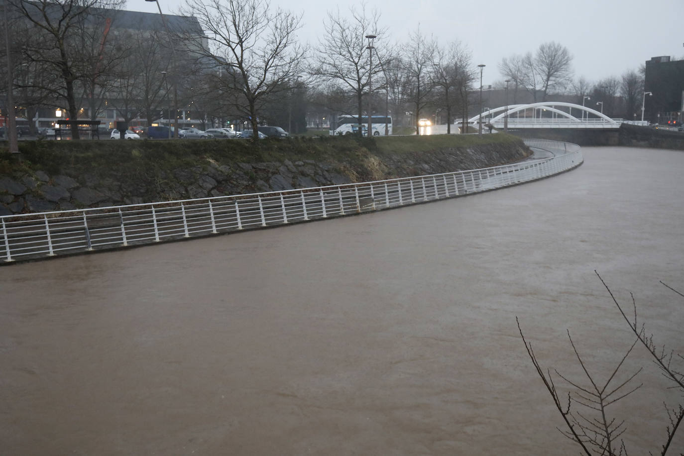 Fotos: Inundaciones y árboles caídos por el temporal en Gijón