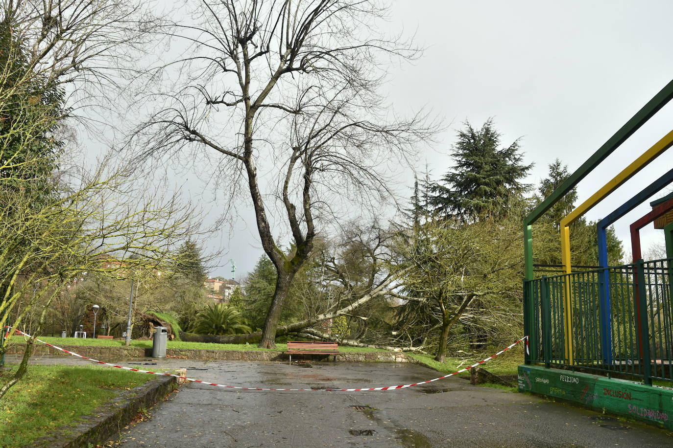 Fotos: Árboles caídos y nuevas inundaciones por fuerte temporal en Avilés