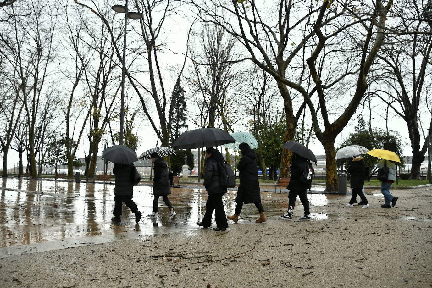 Fotos: Árboles caídos y nuevas inundaciones por fuerte temporal en Avilés