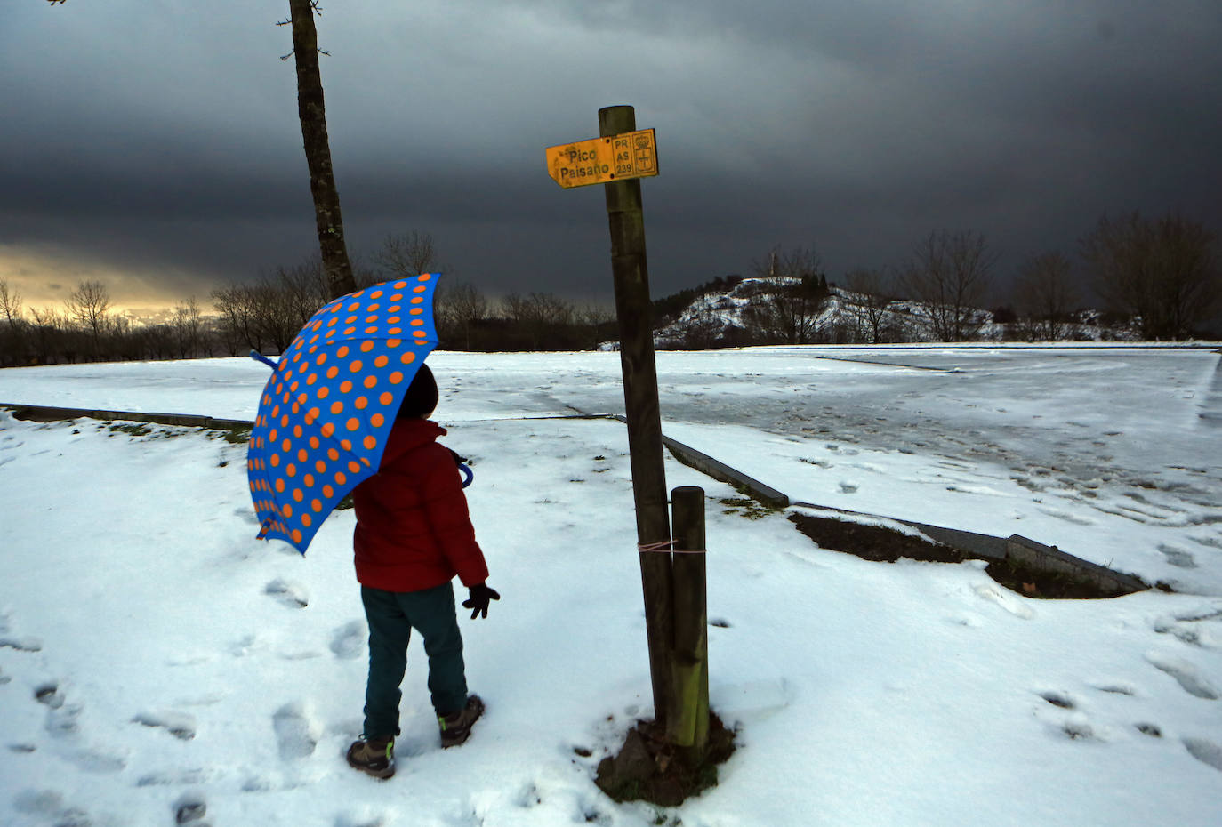 Fotos: Asturias lucha contra el frío: las imágenes que deja el intenso temporal