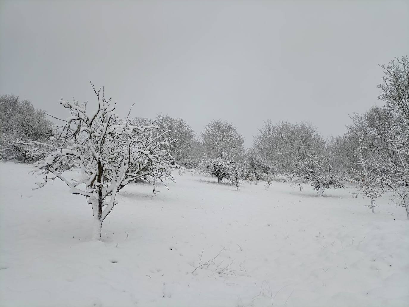 Bebé En Mono De Nieve Caliente Que Camina En El Parque Del Invierno Con Una  Nieve Blanca Foto de archivo - Imagen de fila, grupo: 82836110