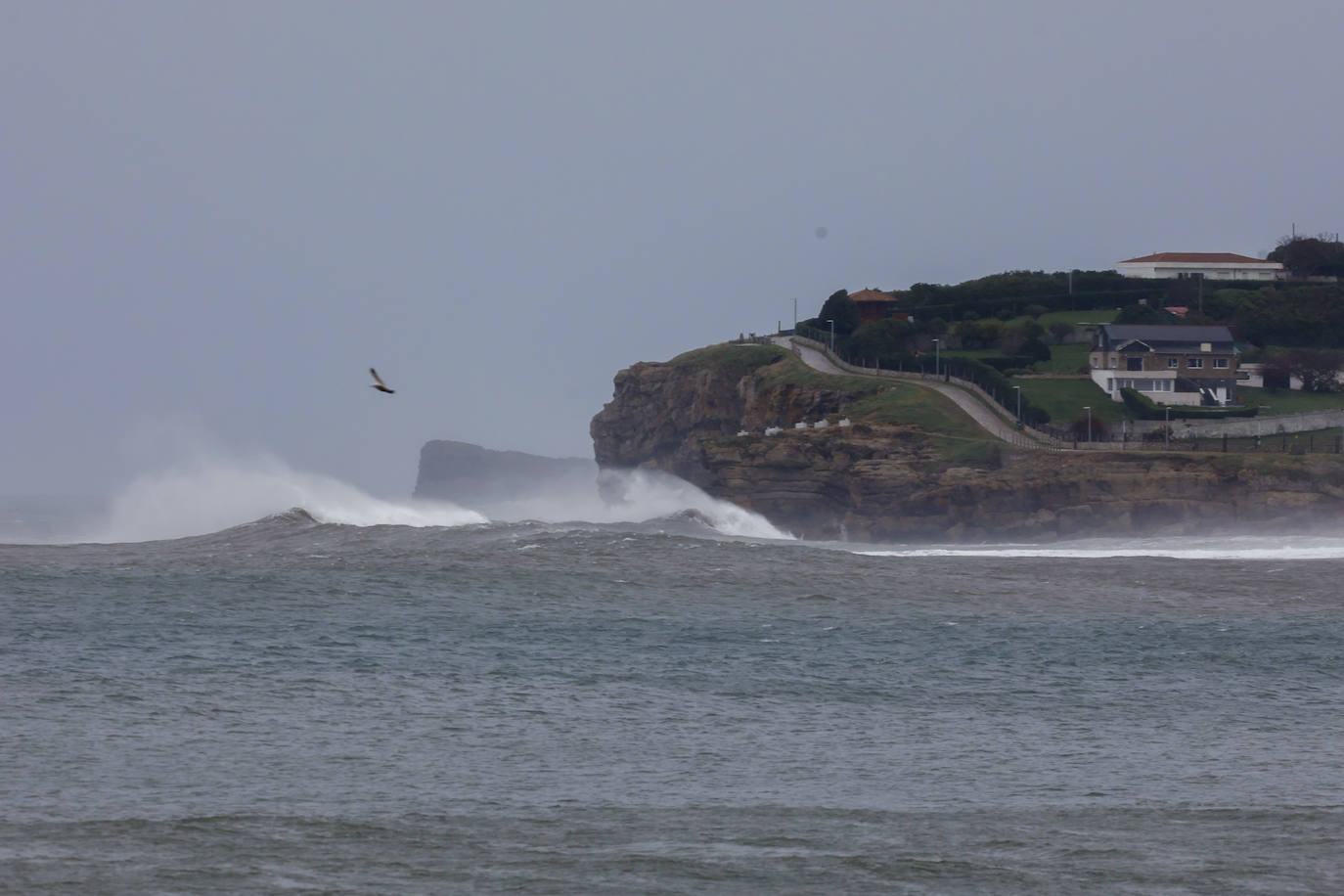 Fotos: El temporal en Gijón: más árboles caídos, fuerte oleaje y lluvia