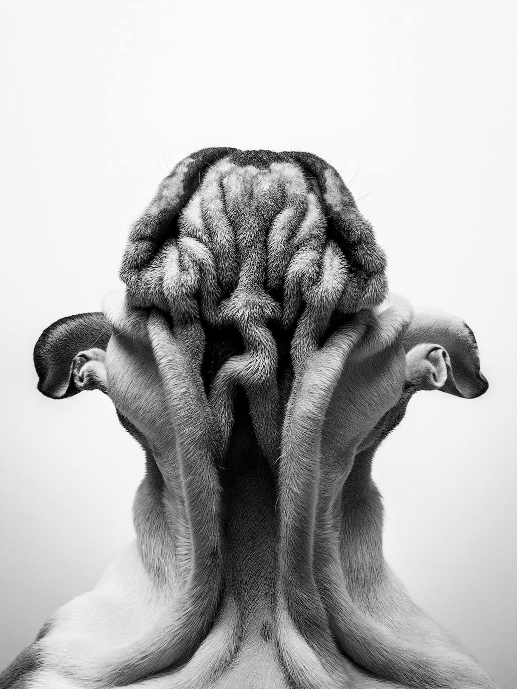 Primer puesto en 'Estudio'