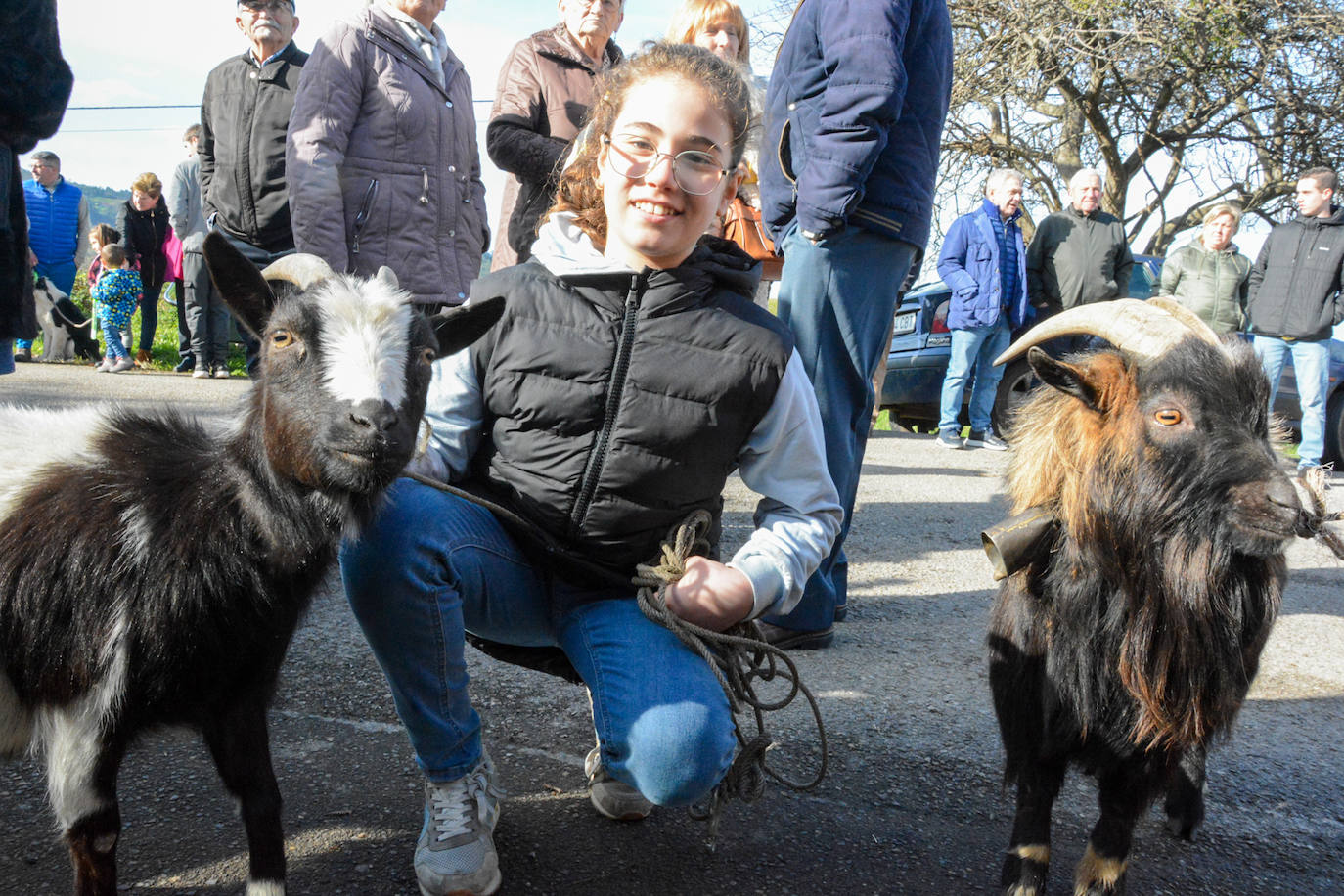 Fotos: San Antón protege a las mascotas de Taborneda