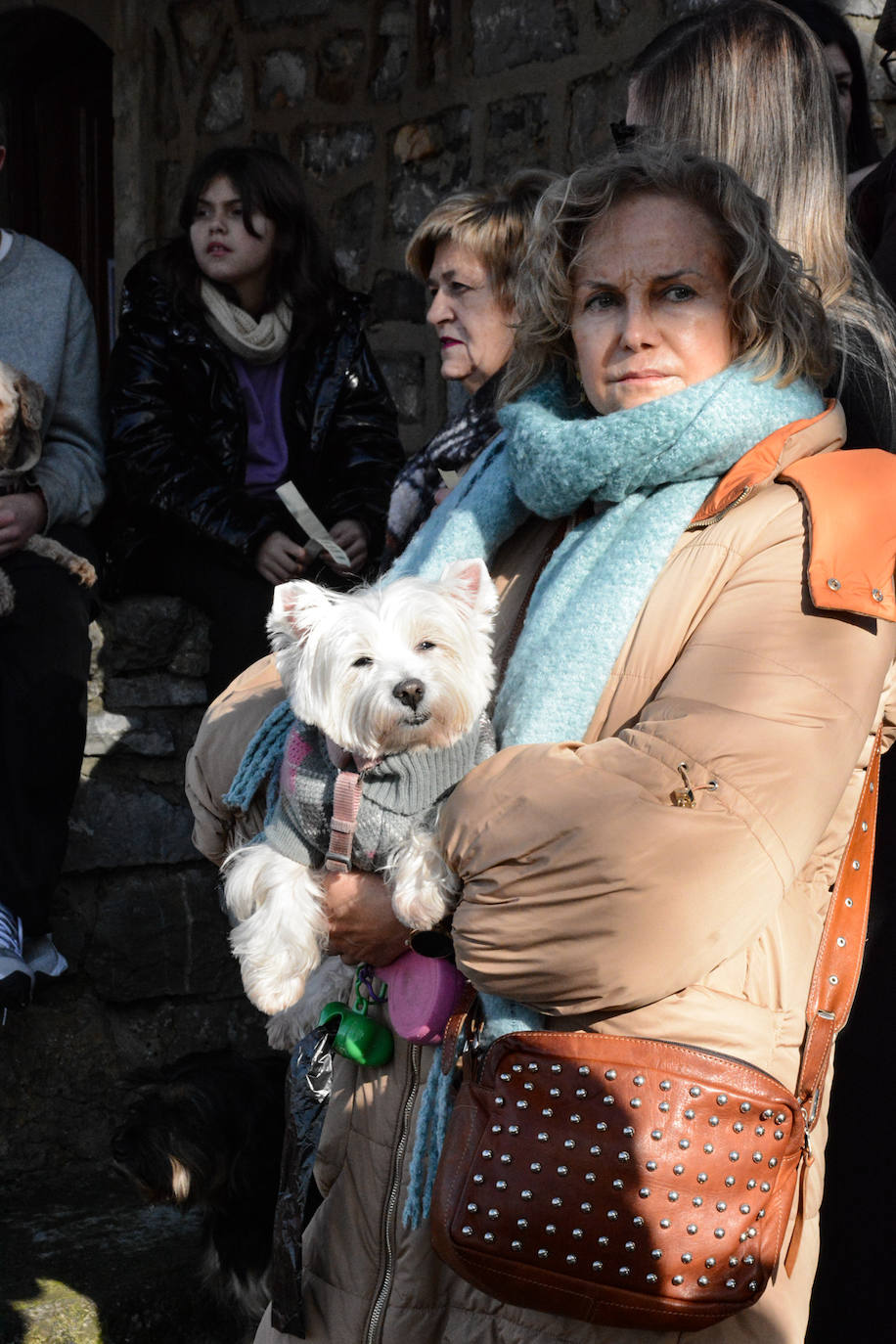 Fotos: San Antón protege a las mascotas de Taborneda