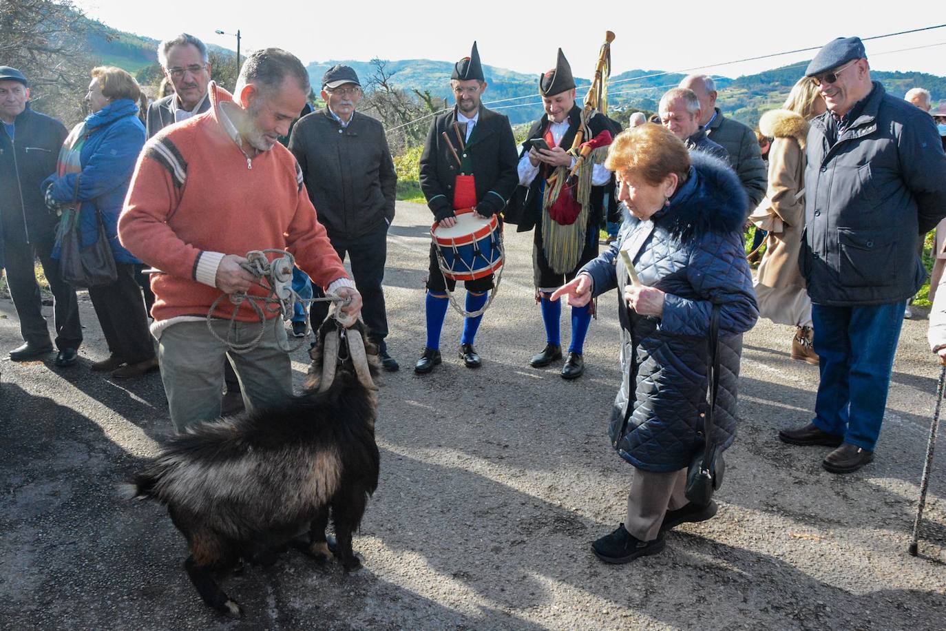 Fotos: San Antón protege a las mascotas de Taborneda