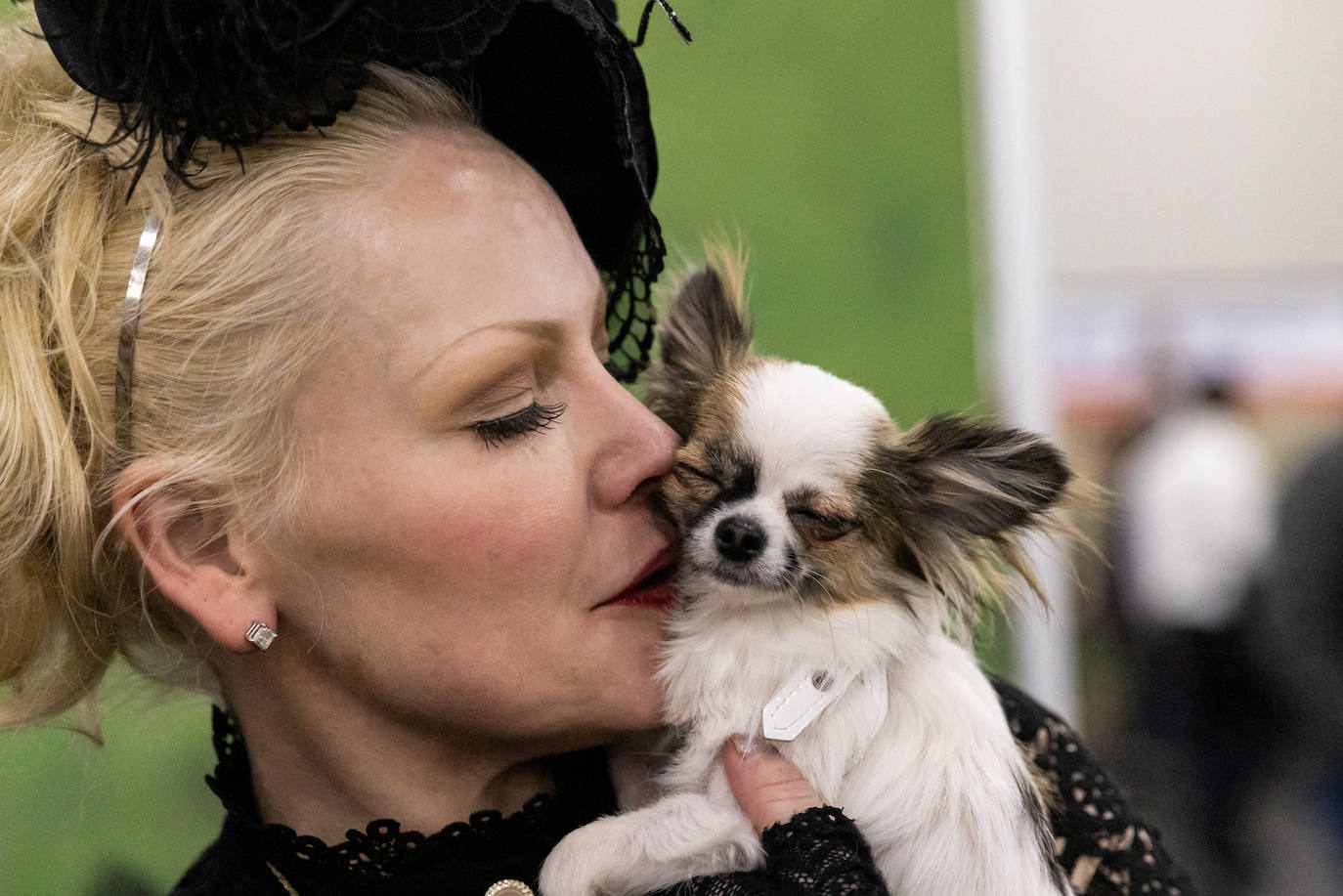 Fotos: Perros de competición en el encuentro canino más selecto