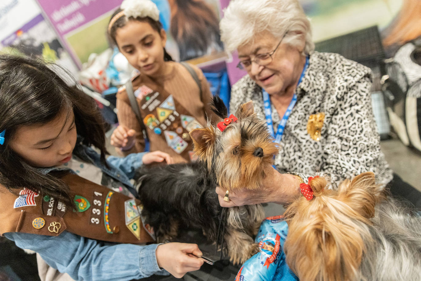 Fotos: Perros de competición en el encuentro canino más selecto