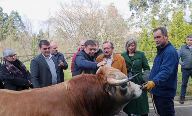 El ministro de Agricultura, en el encuentro que mantuvo en Gijón con los ganaderos de razas autóctonas 