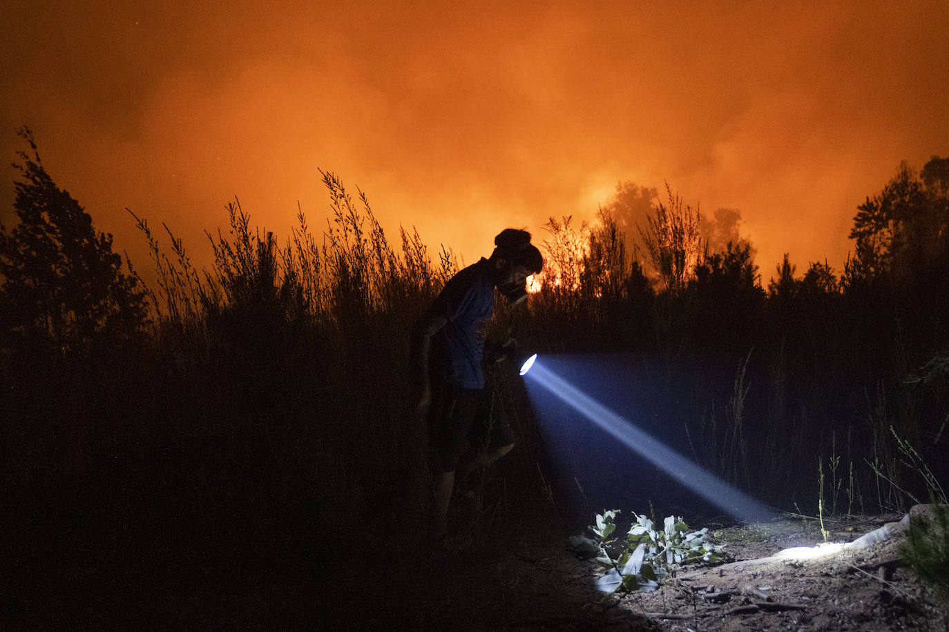 Fotos: El infierno de fuego de Chile
