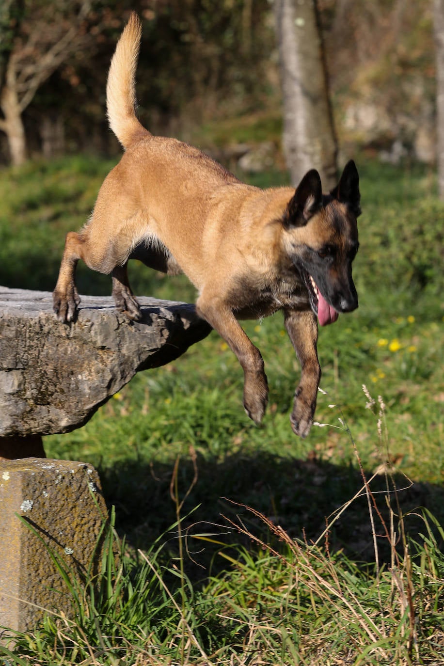Fotos: «La vida me parece más superficial, es todo muy extraño, mi cabeza sigue allí»