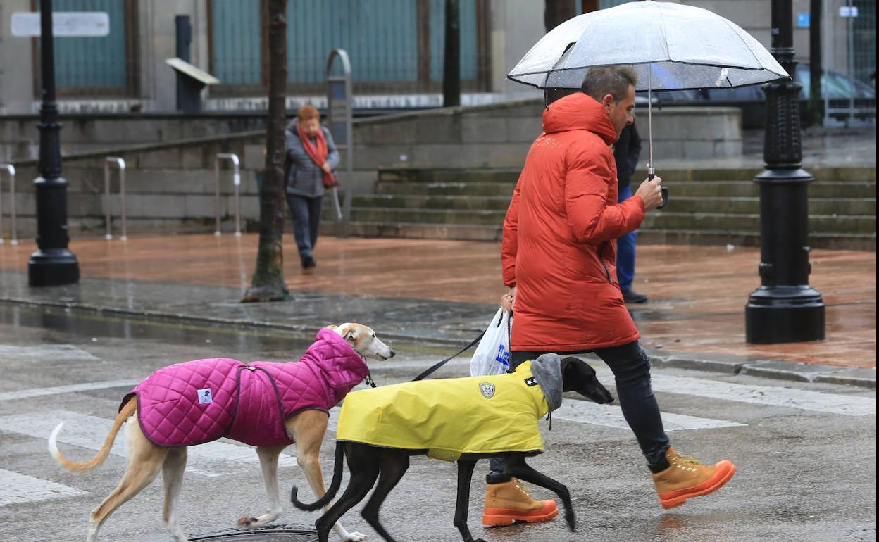 Jornada de bajas temperaturas en Oviedo el pasado mes de enero.