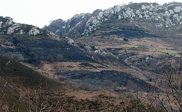 Terreno calcinado tras el incendio que se registró en la Colladona, en el concejo de Aller.