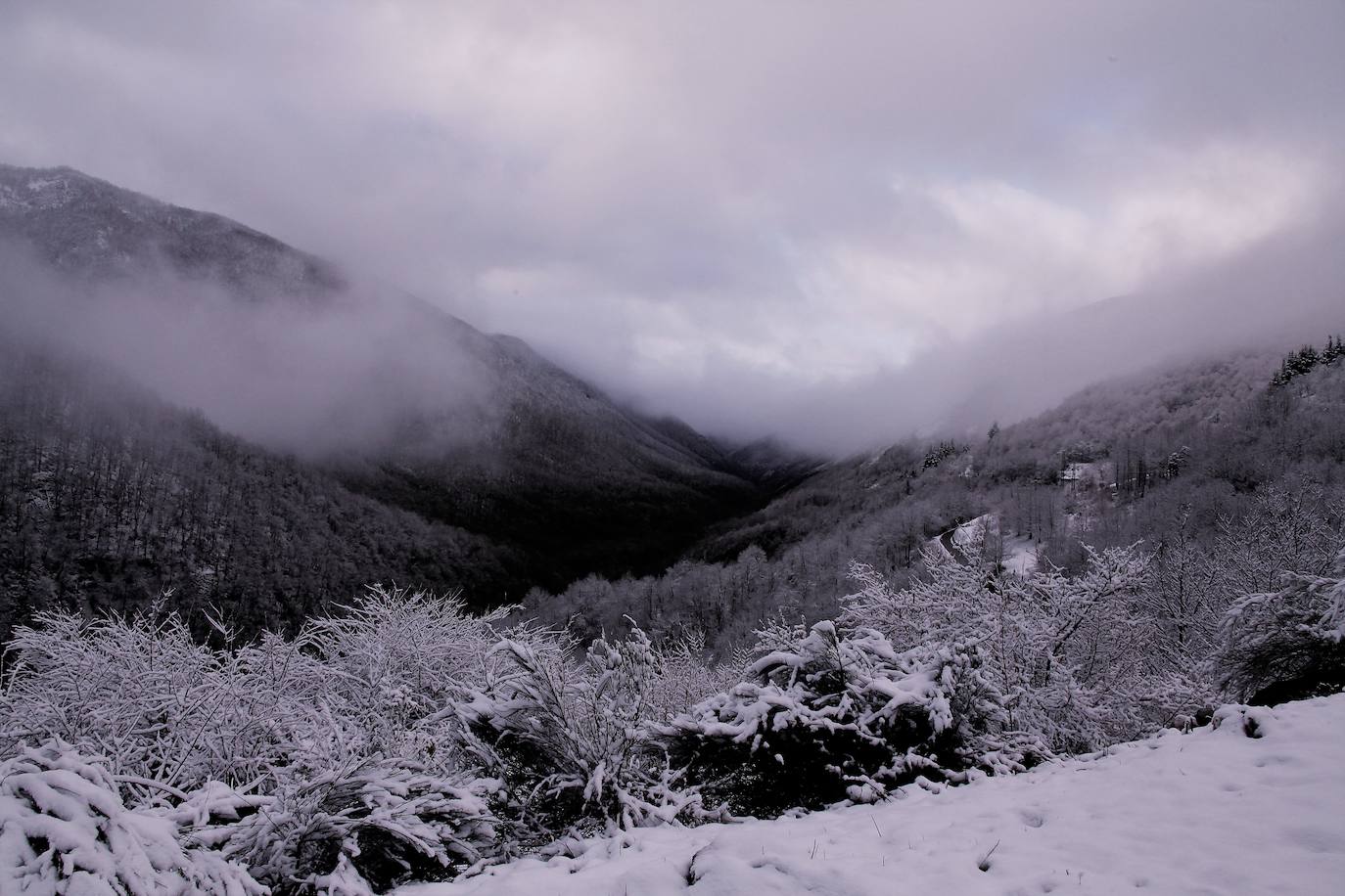 Fotos: Asturias, bajo el frío, la nieve y la lluvia
