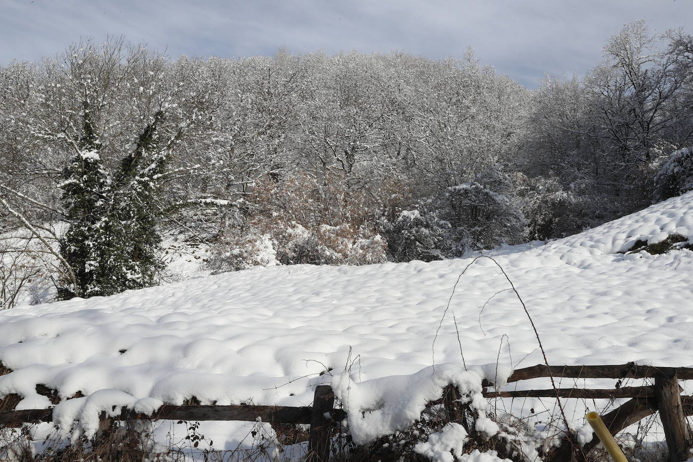 Fotos: Asturias, a temperaturas heladoras