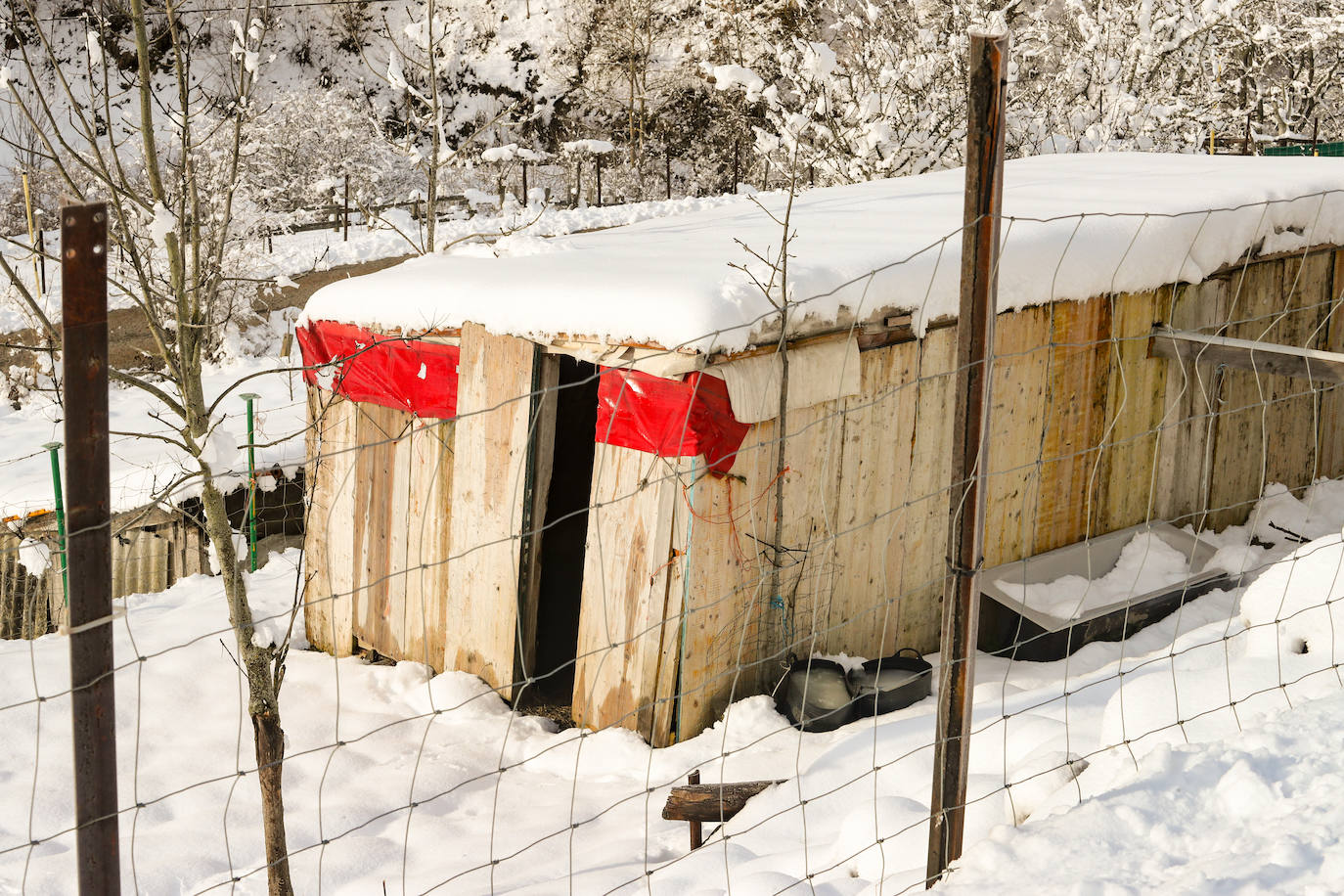 Fotos: Asturias, a temperaturas heladoras