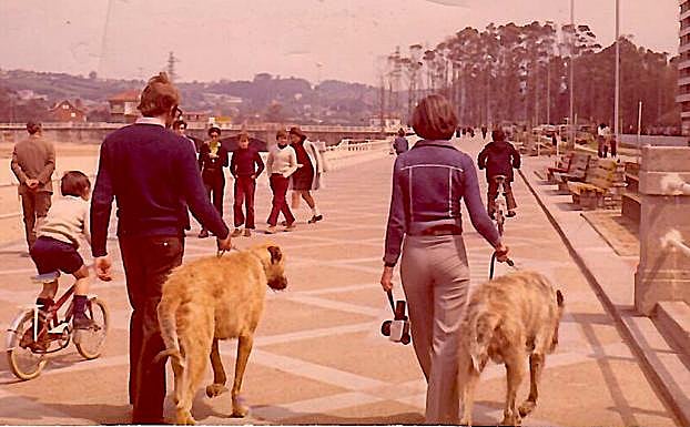 El matrimonio de paseo por el Muro con sus dos enormes perros irlandeses.