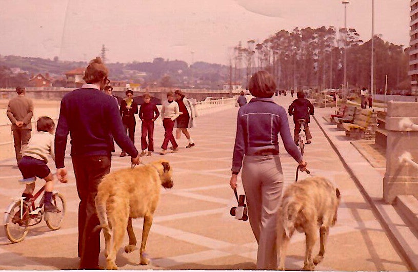 Fotos: 50 años de idiomas en Gijón con los Lawton