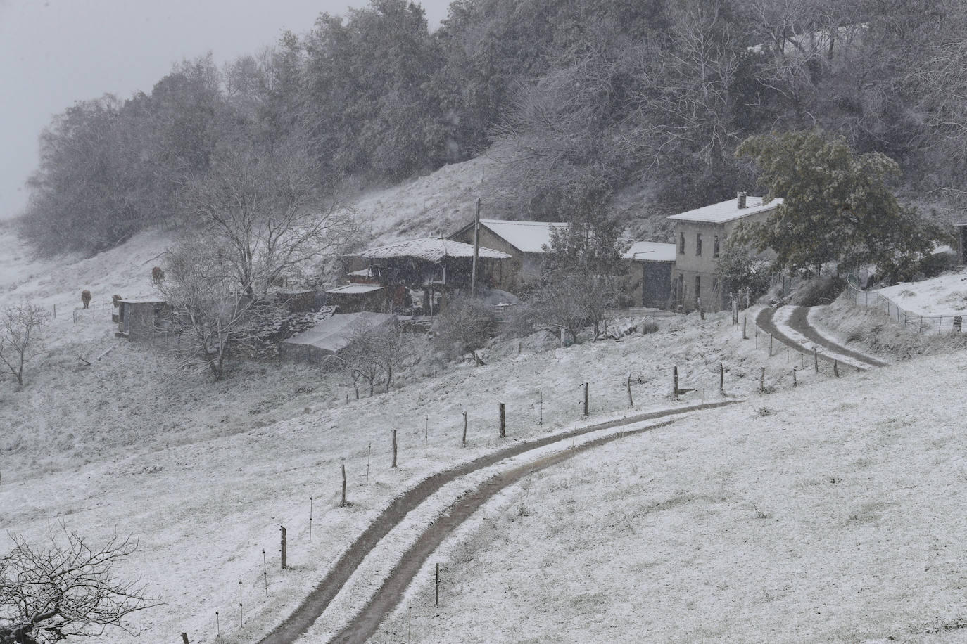 Fotos: Nieve y frío en Asturias