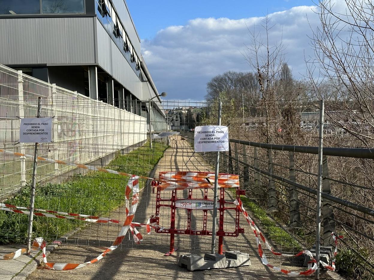 Estado en el que se encontraba ayer la senda fluvial del Piles. 