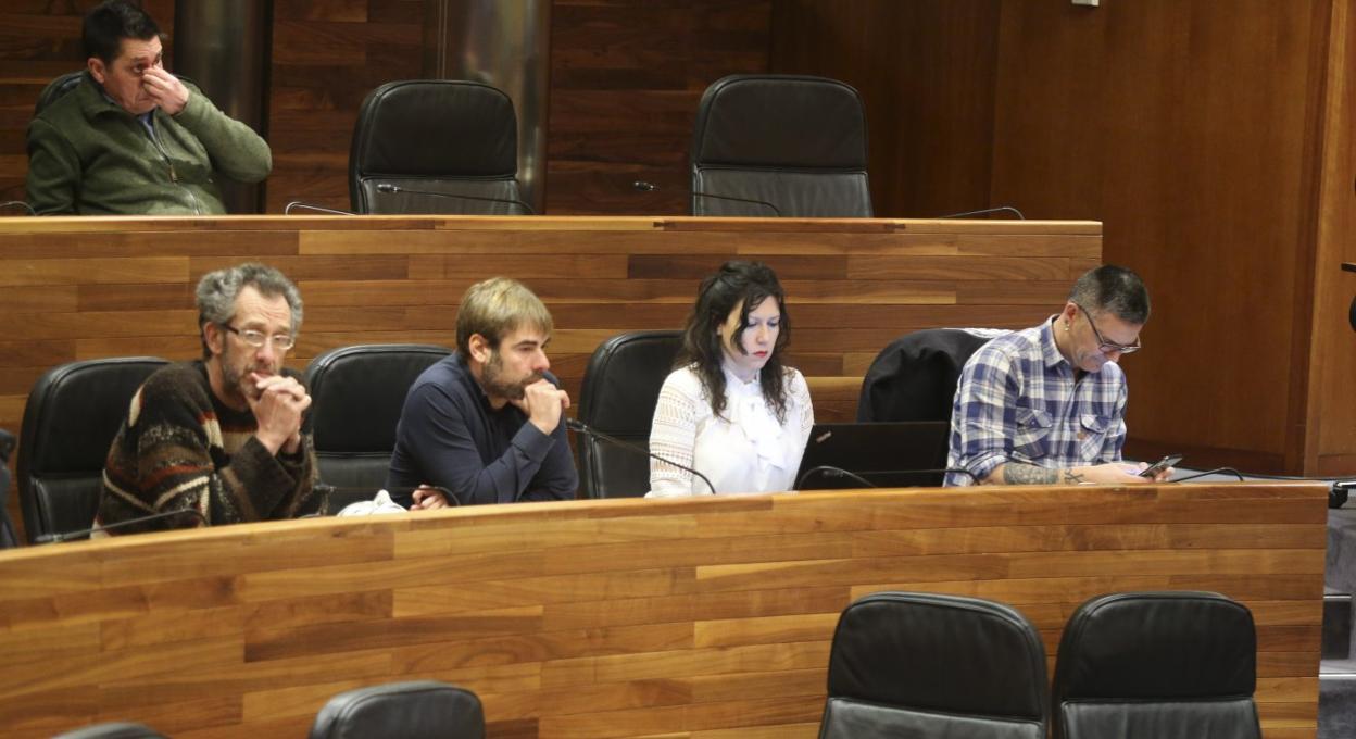 Ricardo Menéndez Salmón, Daniel Ripa, Nuria Rodríguez y Rafael Palacios, en el pleno. 