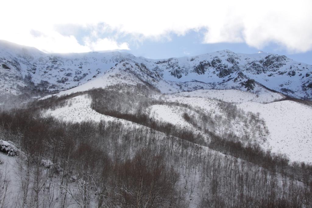 Fotos: La nieve cubre los paisajes de Somiedo y Teverga