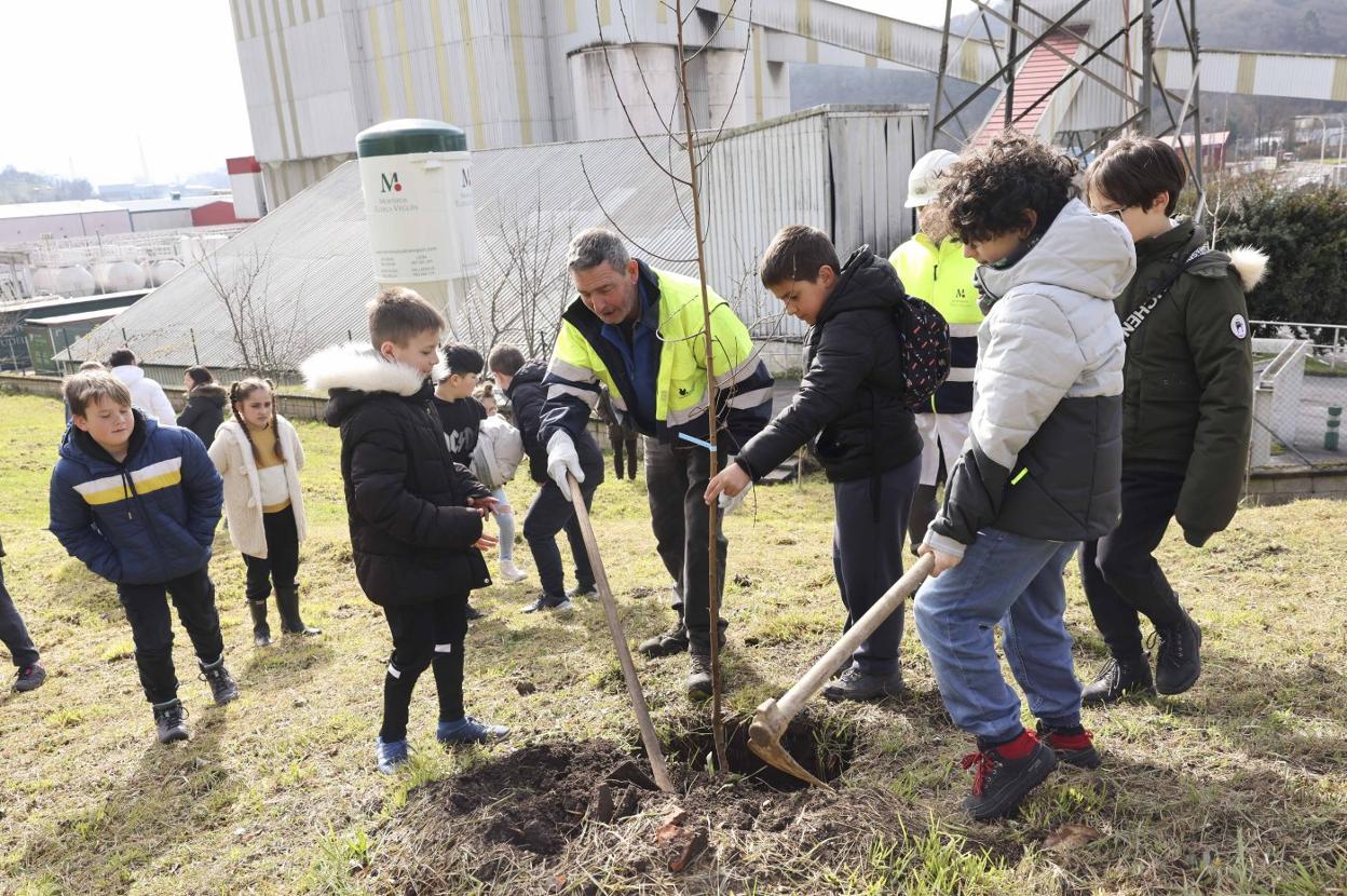 Escolares del colegio de La Llamiella plantan árboles autóctonos en Riaño. 