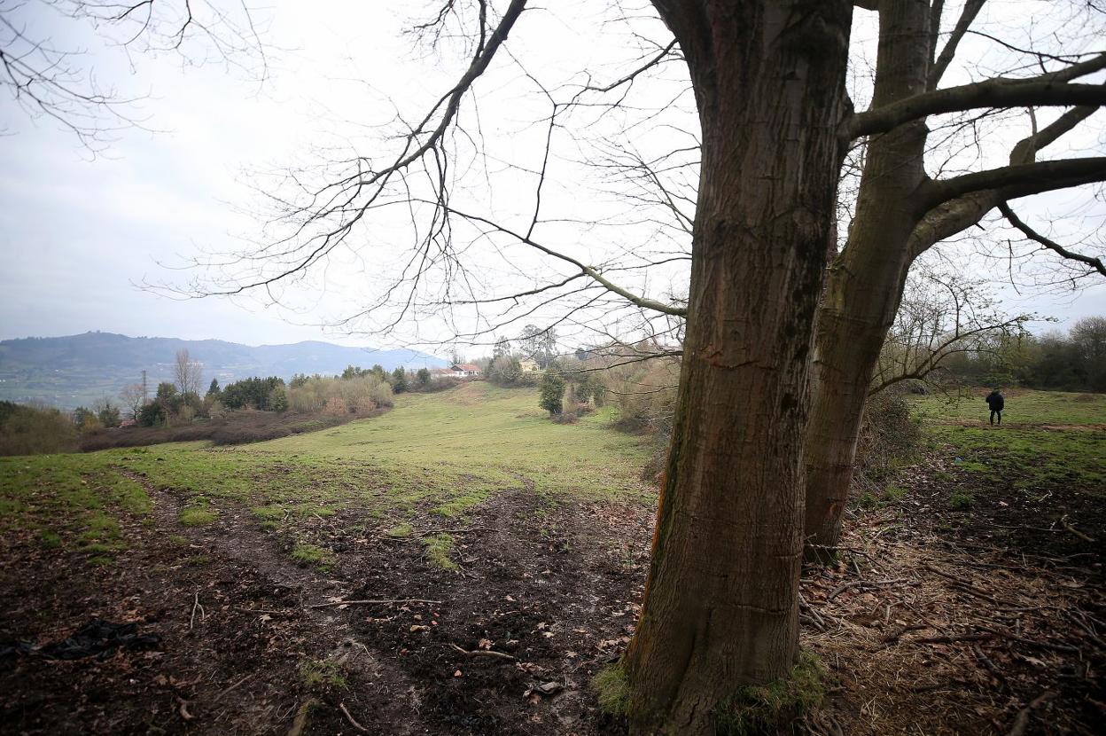 Finca donde se ubicará la nueva ciudad deportiva del Real Oviedo, en Latores. 