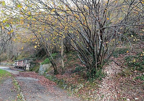 Una senda en la población allerana de Cuevas, en Aller.