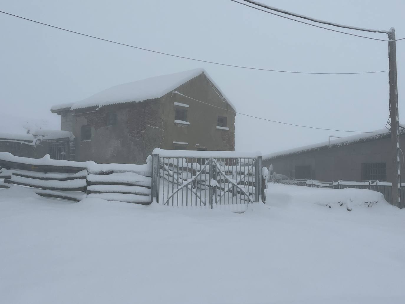 Alerta de frío en Asturias: un manto de nieve cubre el paisaje asturiano