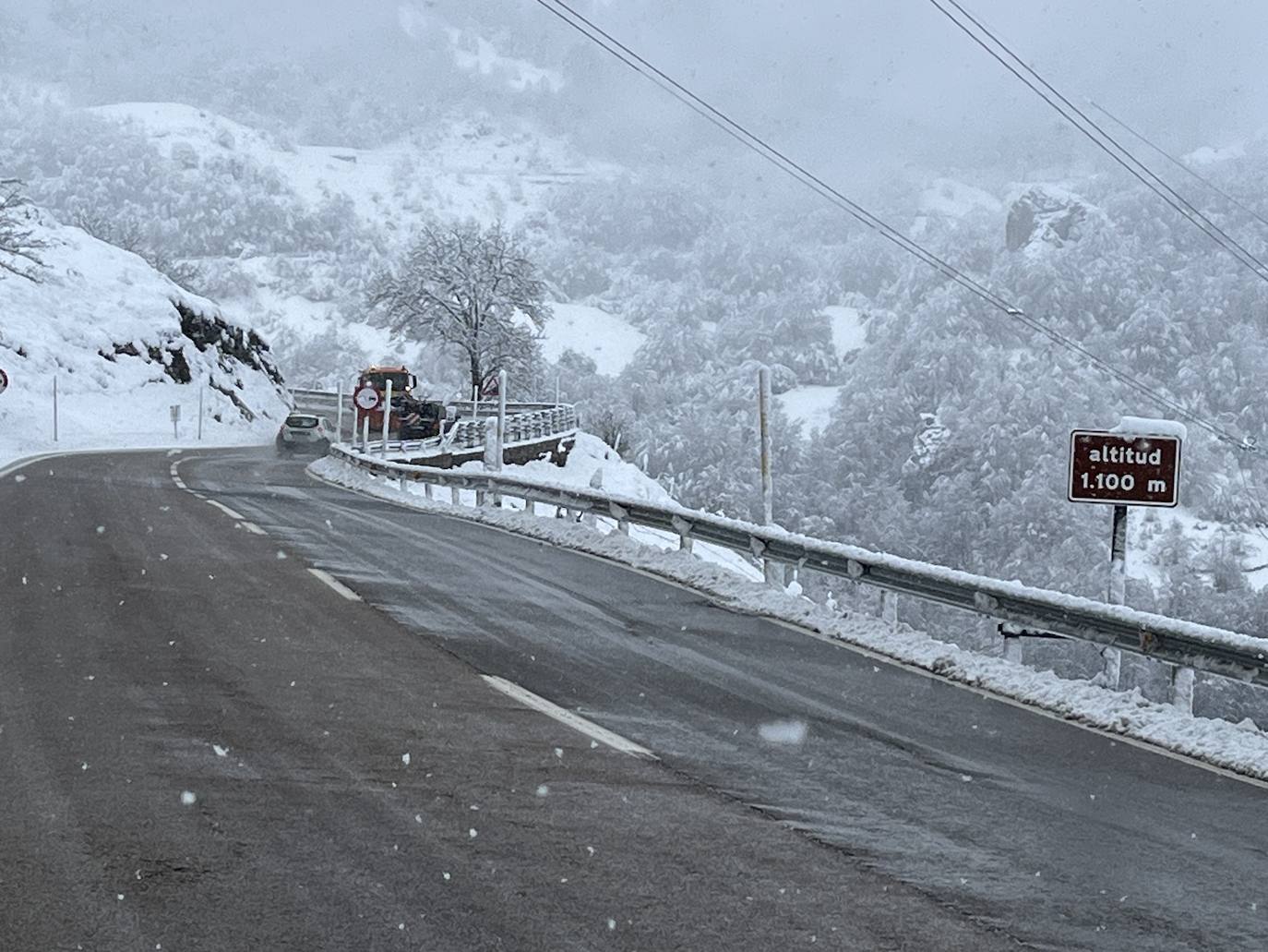 Alerta de frío en Asturias: un manto de nieve cubre el paisaje asturiano