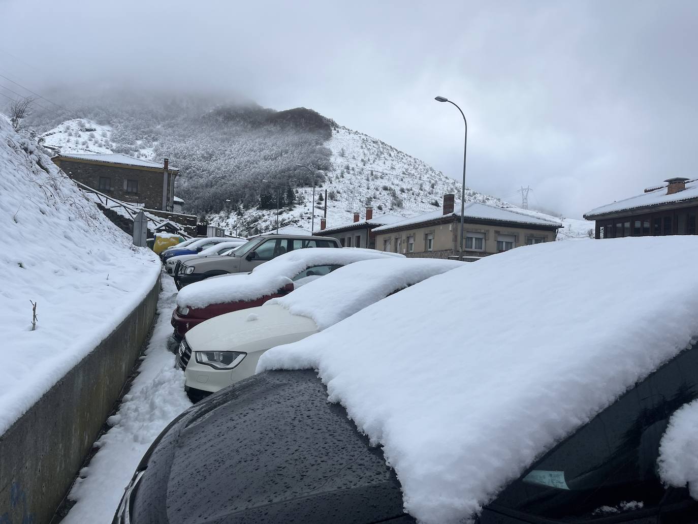 Alerta de frío en Asturias: un manto de nieve cubre el paisaje asturiano