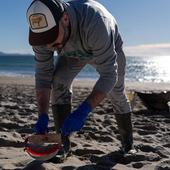 Microplásticos en la costa: la cronología de una nueva crisis ambiental