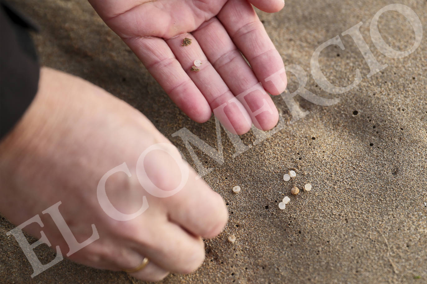Operarios han recogido pellets de microplástico esta mañana en la playa de Candás. 