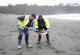 Asturias intensifica la limpieza de pélets de sus playas