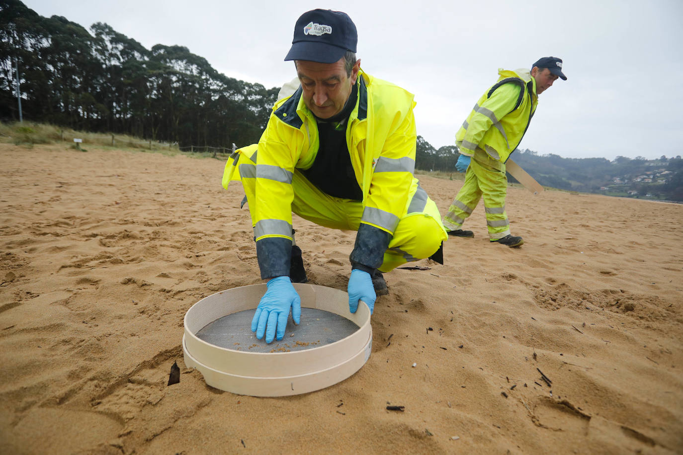 Asturias intensifica la limpieza de pélets de sus playas