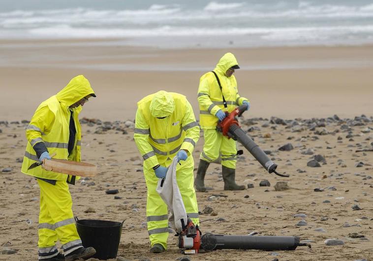 Recogida de pellets en la playa de Vega.