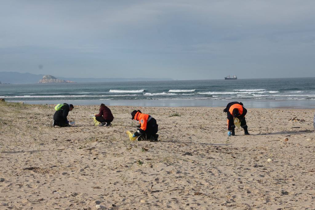 Manos solidarias para retirar los pélets de las playas asturianas