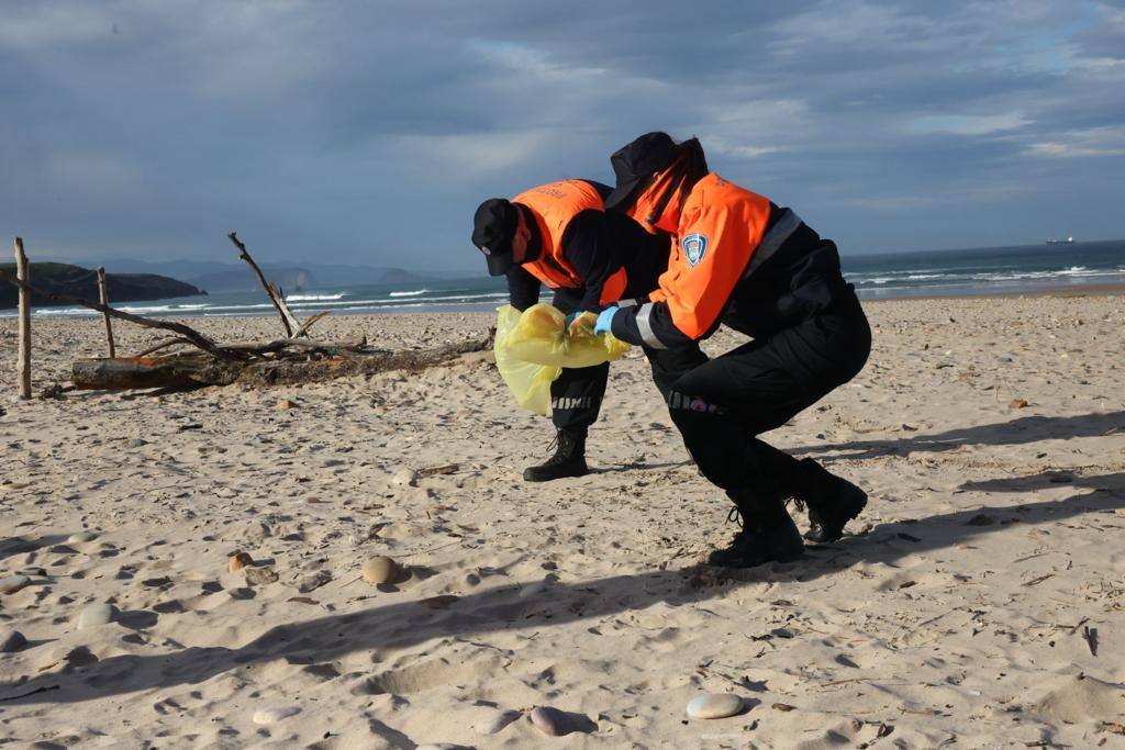 Manos solidarias para retirar los pélets de las playas asturianas