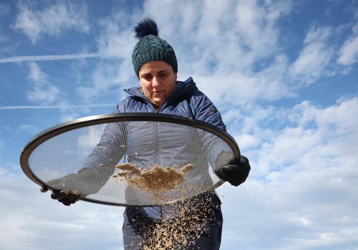 Manos solidarias para retirar los pélets de las playas asturianas