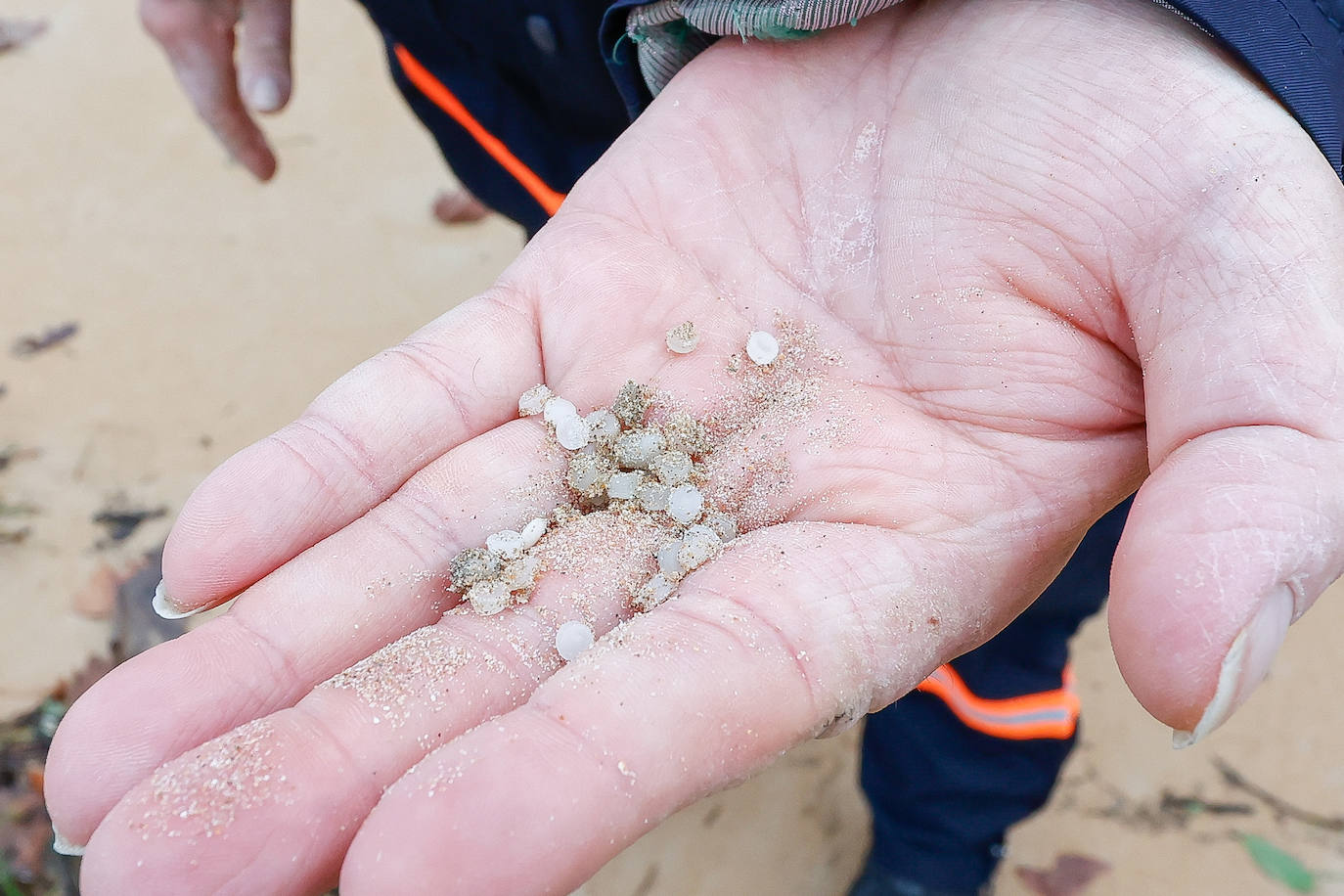 Más de 300 voluntarios contra los pélets en las playas de Asturias