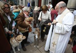 Oviedo bendice a sus mascotas